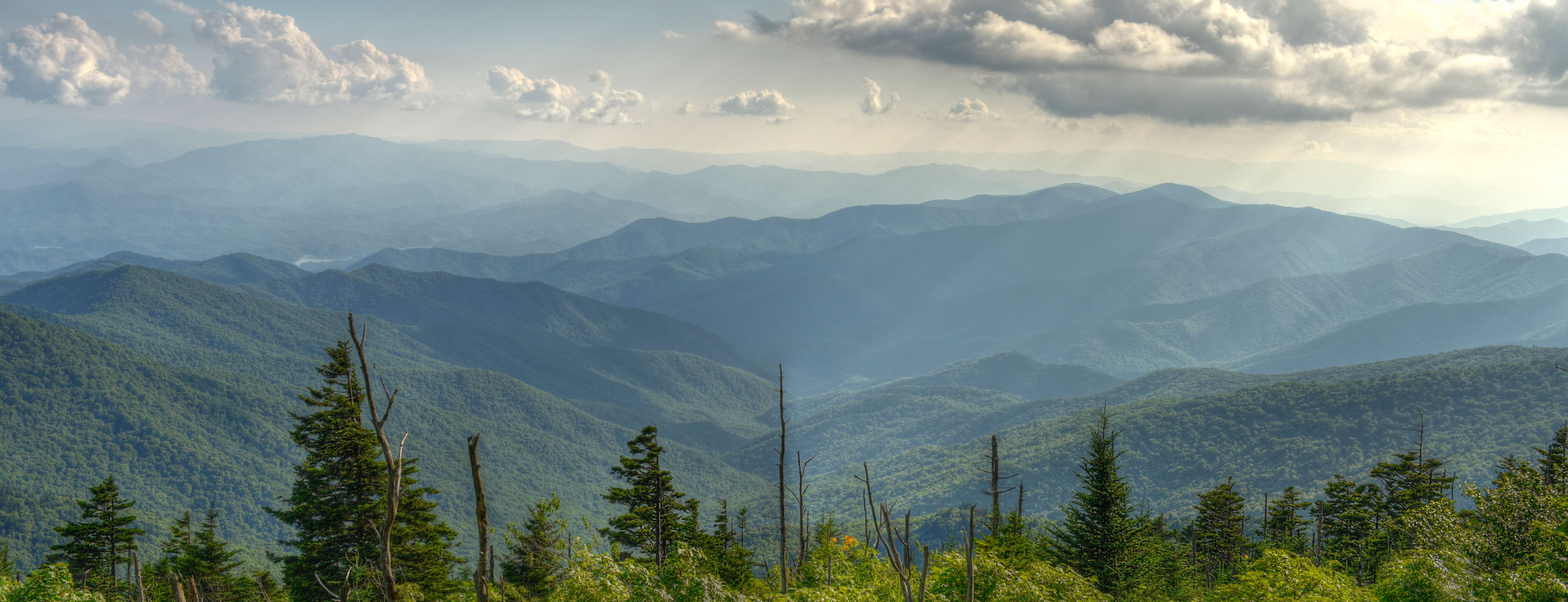 Centro Médico Especializado Sofia Victoria - Dr Juan Gallardo