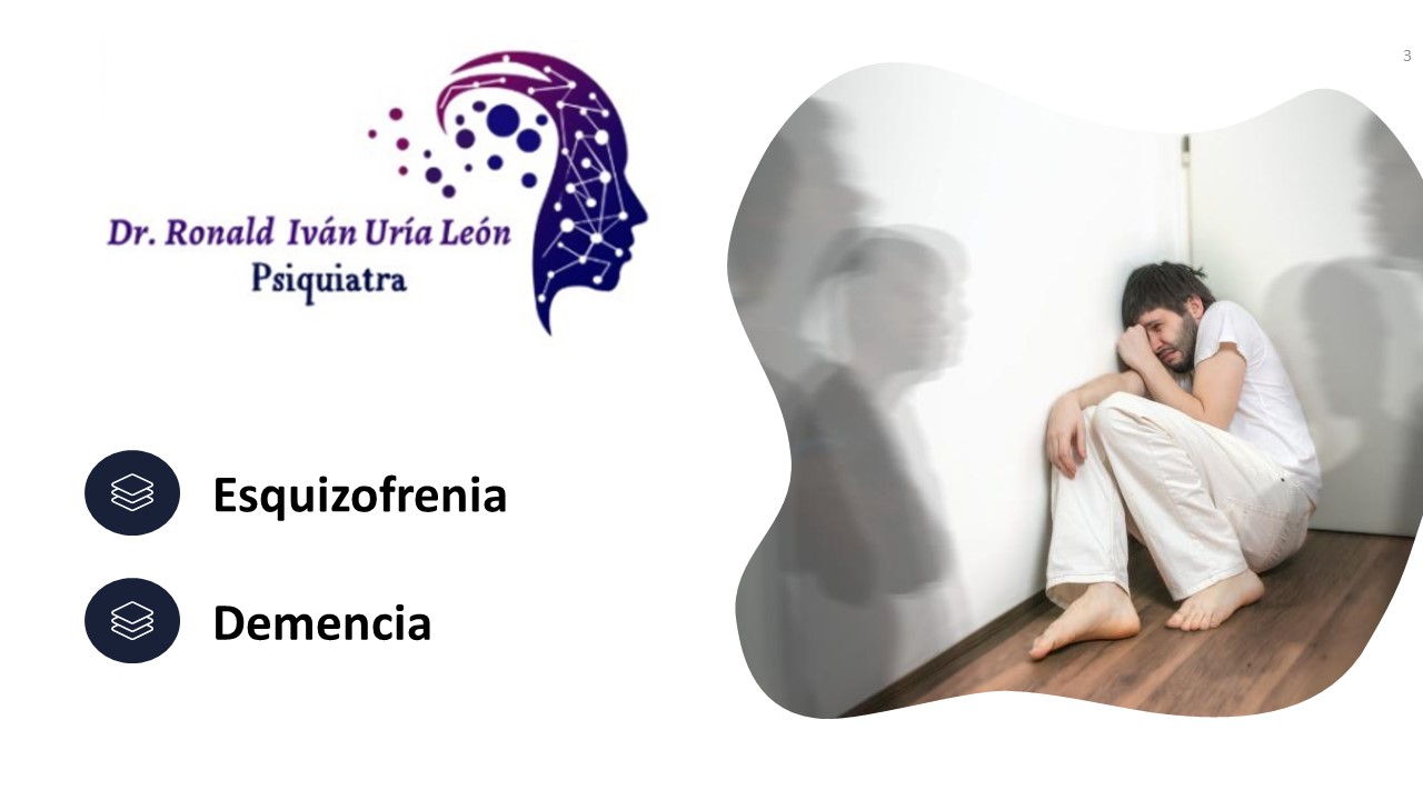 Diapositiva3