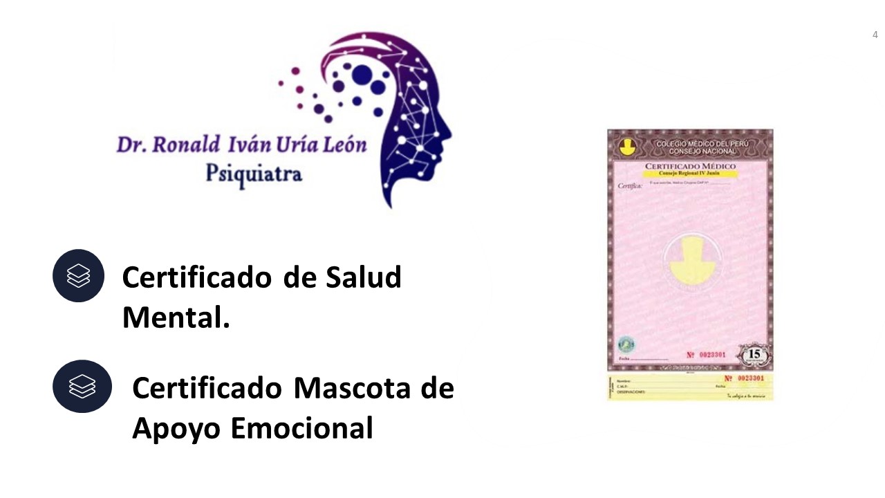 Diapositiva4