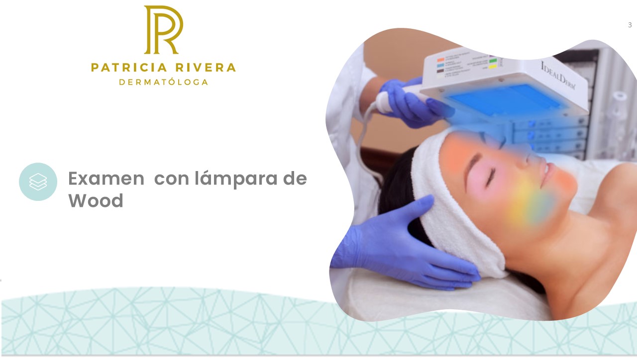 Diapositiva3