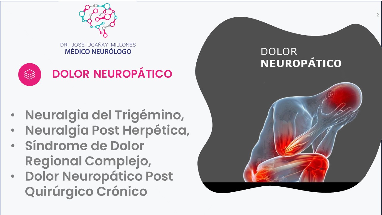 Diapositiva2