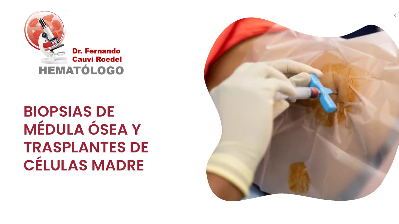 Diapositiva3