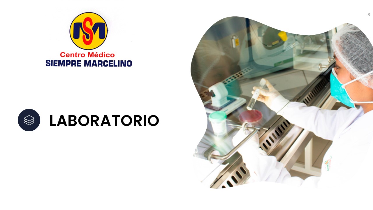 Diapositiva3