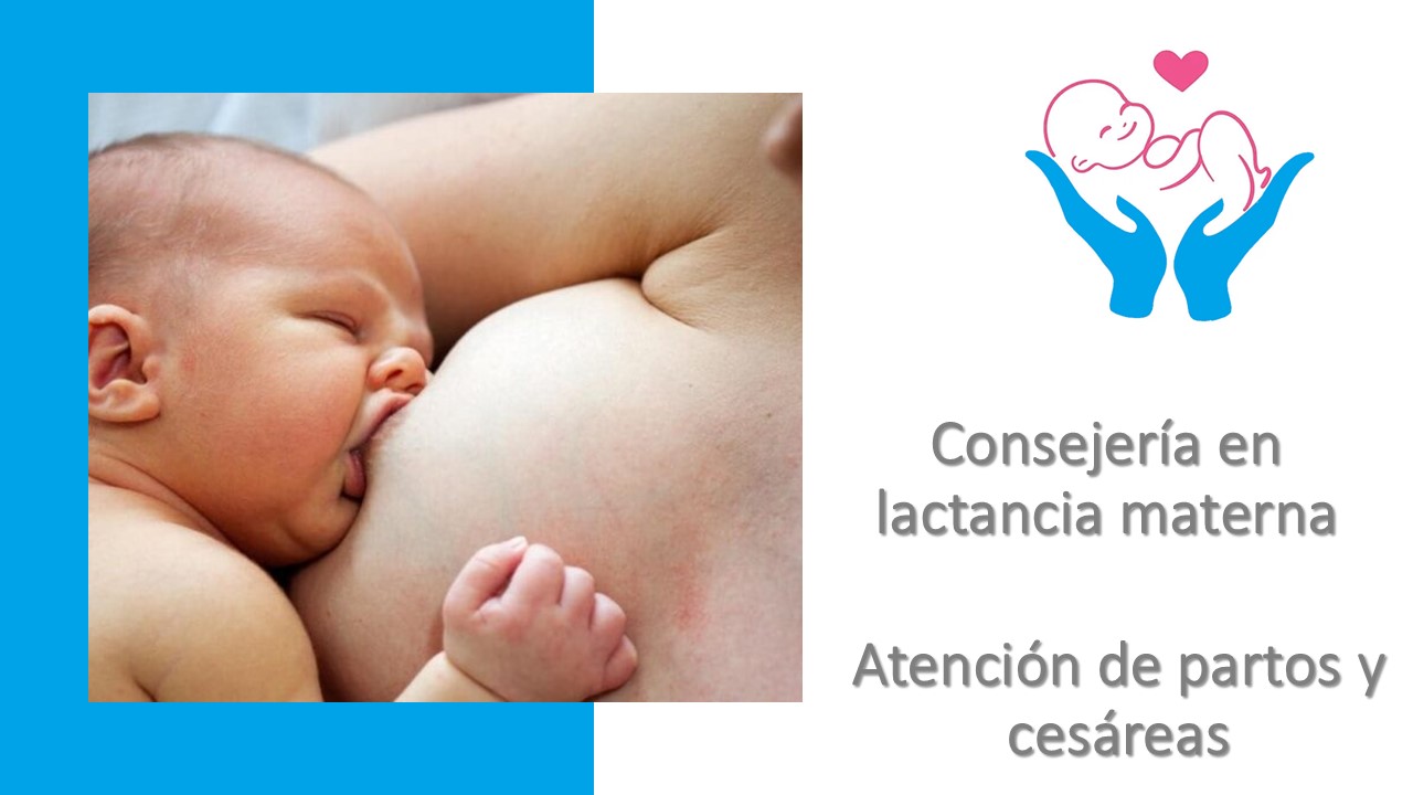 Diapositiva3