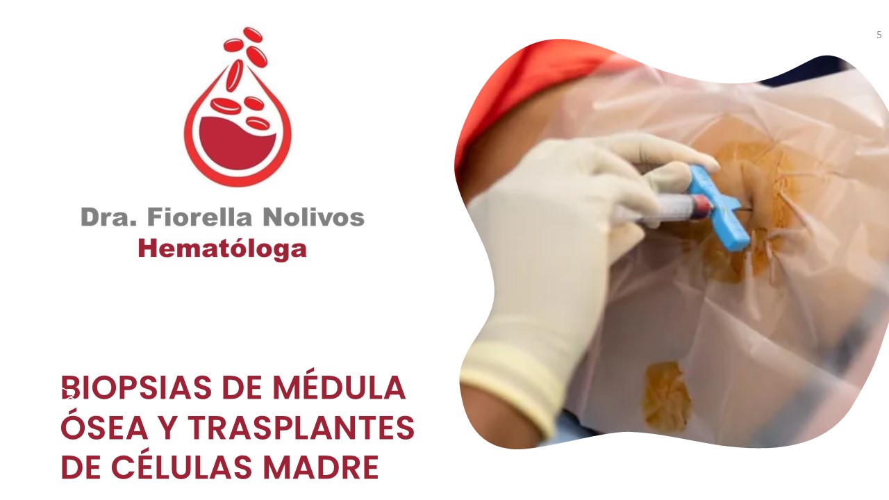Diapositiva5