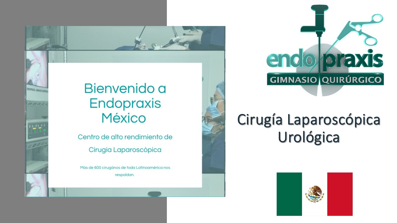 Diapositiva8